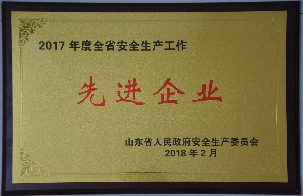 2017年度全省安全生產工作先進企業(yè)